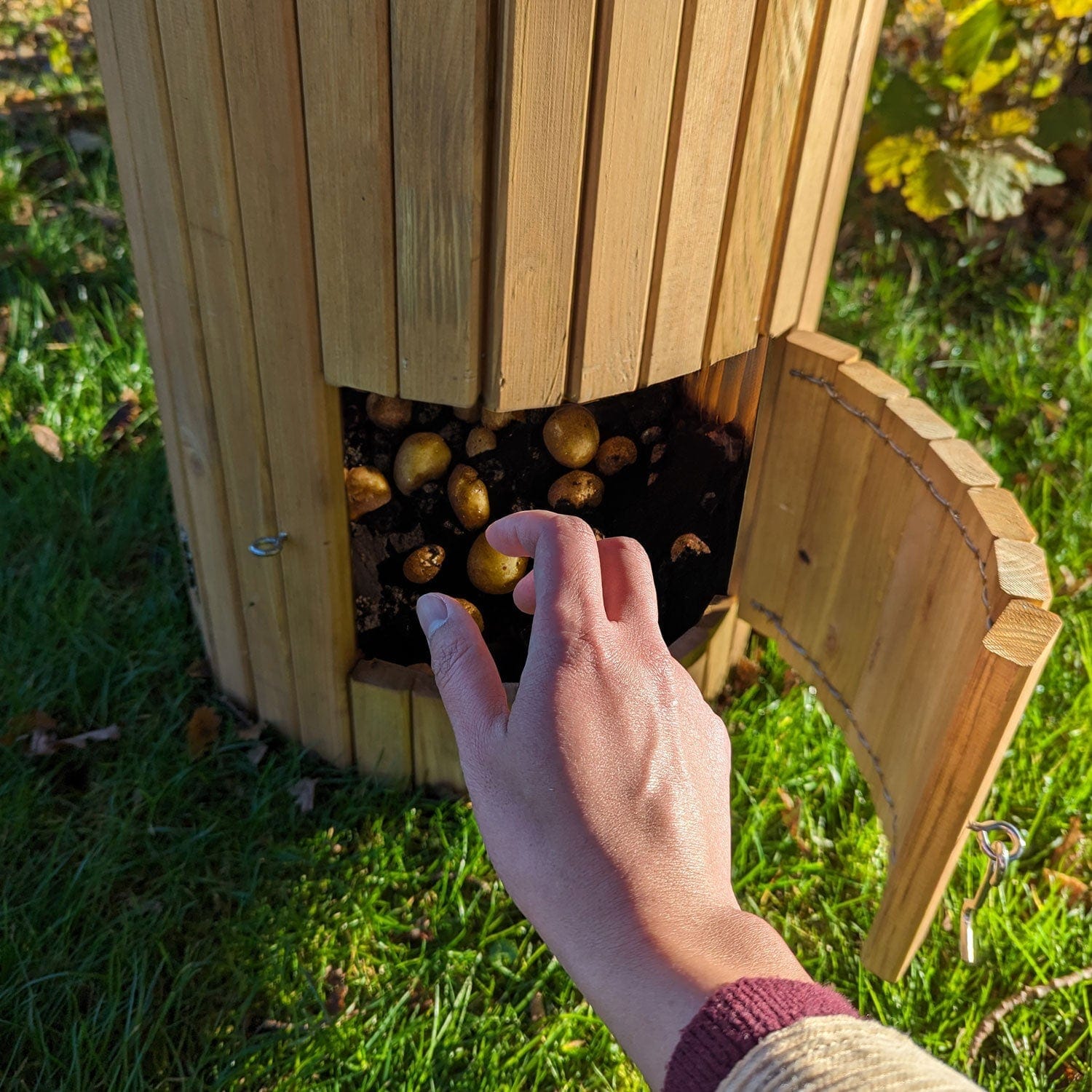 66 Litre Wooden Potato Planter Barrel – Swing Door Harvest Access